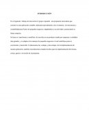 CONSOLIDACION DE UNA IDEA DE NEGOCIO