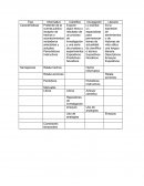 Español Características