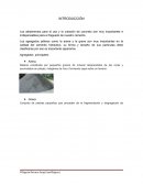Tecnologia del concreto practica