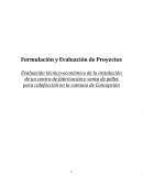 Evaluación técnico-económico de la instalación de un centro de fabricación y venta de pellet para calefacción en la comuna de Concepción