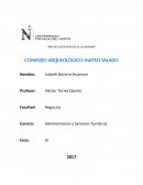 ENSAYO SOBRE HUACA MATEO SALADO