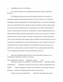 En su opinión ¿Para qué sirve el diagrama del proceso paso a paso de la gestión de proyectos?