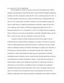 EL AGUACATE Y SU FOTOSINTESIS