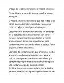 Ensayo de la contaminación y el medio ambiente