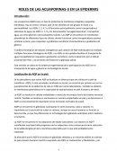 Roles de las acuaporinas en la epidermis