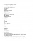 DESARROLLO DE HABILIDADES DEL PENSAMIENTO