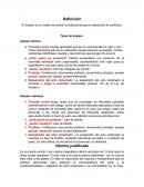 AEl amparo es un medio de control constitucional para la resolución de conflictos.