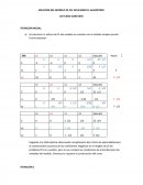 SOLUCIÓN DEL MODELO DE PLE APLICANDO EL ALGORITMO