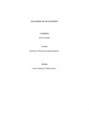 Ensayo de tecnicas de reporte