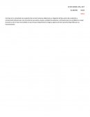 Auditor UTEG y Asociados