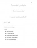 Como se da la Investigación de la basura