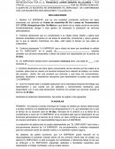 El nuevo Contrato de servicios profesionales