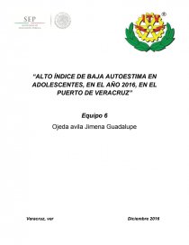 “ALTO ÍNDICE DE BAJA AUTOESTIMA EN ADOLESCENTES, EN EL AÑO 2016, EN EL PUERTO DE VERACRUZ”. Página 1