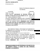Se interpone amparo en vía Indirecta La suscrita , mexicana