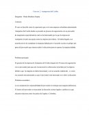 Caso Autopartes del Caribe