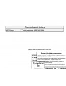 Situación de aprendizaje: jugando con los números