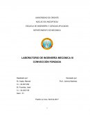 Conveccion forzada LABORATORIO DE INGENIERÍA MECÁNICA III