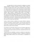 Las drogas influyen en la vida de mucha gente