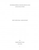 ¿Saber el nombre de algo, es realmente saber algo?