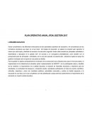 PLAN OPERATIVO ANUAL (POA) GESTIÓN 2017