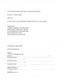 LA INFLUENCIA DEL PODER DEL MARKETING EN LA CLASE MEDIA