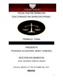 TRABAJO FINAL VICTIMOLOGIA