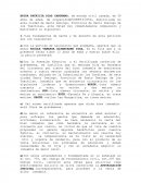 Los fundamentos de hecho y de derecho