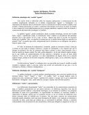 Definición etimológica del vocablo “agente”