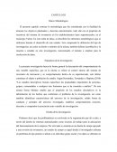 Trabajo de grado sobre inventario