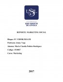 REPORTE: MARKETING SOCIAL