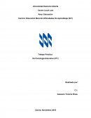 Trabajo Práctico De Psicología Educativa