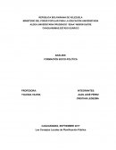 Analisis de formacion sociopolitica