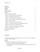 Netiquetas Las 10 reglas básicas