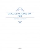 LAS COMPETENCIAS EN EL CURRÍCULO UNIVERSITARIO