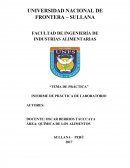 INFORME DE PRÁCTICA DE LABORATORIO