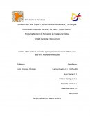 Análisis crítico sobre la economía agroexportadora haciendo énfasis en la falta de la misma en Venezuela