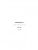 Engagement Organizacional