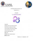 ENSAYO SOBRE LA PRACTICA BASQUETBALL