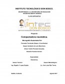 Compactadora neumática.