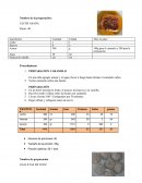 PREPARACIO DE LECHE ASADA