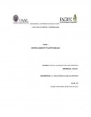 MATERIA: AMBIENTE Y SUSTENTABILIDAD