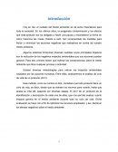 ACV. Analisis ciclo vida.