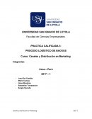 Ejemplo de Proceso logisticos bacusDT.pptx