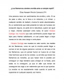 ¿Los flamencos sienten envidia ante un simple reptil?