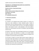 COMO SE DA UIN EJEMPLO DE EVALUACION PSICOPEDAGOGICA