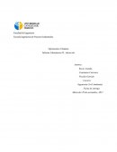 Informe Laboratorio Adsorcion con azul de metileno