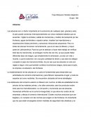 Trejo Marquino Daniela Alejandra