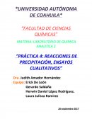 Práctica 4: reacciones de precipitación, ensayos cualitativos
