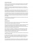 Antecedentes (Base Legal)