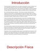 EL Giroscopio